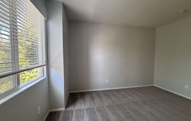 1 bed, 1 bath, 705 sqft, $3,190, Unit 103
