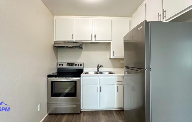 Imperial Beach Palms