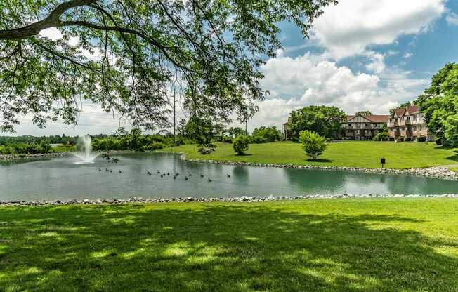 A serene park with a pond, ducks, and a fountain