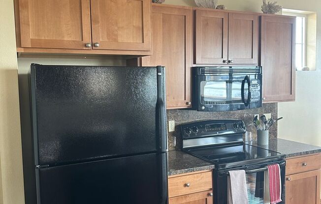 Beautiful Lake Front Condo FULLY FURNISHED w/Private Pool and Dock access!