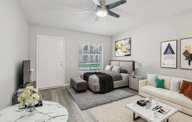 Studio, 1 bath, 350 sqft, $799, Unit 402