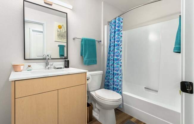 a bathroom with a shower toilet and sink