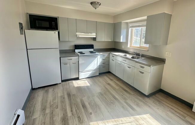 1 bed, 1 bath, 600 sqft, $1,295