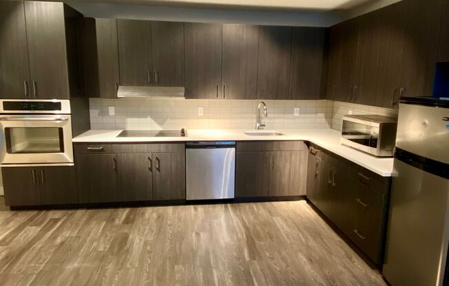 Studio, 1 bath, 402 sqft, $1,900, Unit 503