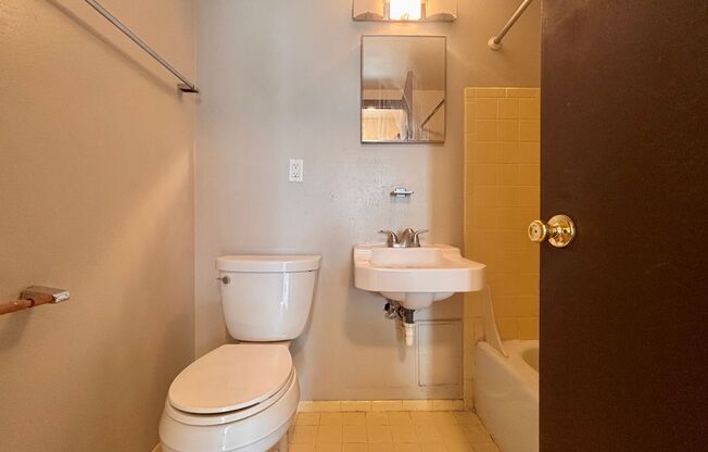Studio, 1 bath, $695, Unit 303