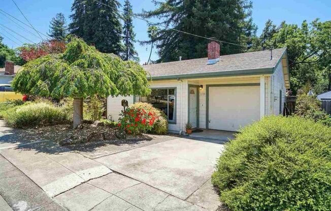 OPEN HOUSE Sunday, 5/4   2 - 4pm. Modern & Comfortable 3 Bed, 1 Bath Home on Kelly Hill - Smart Features & More!