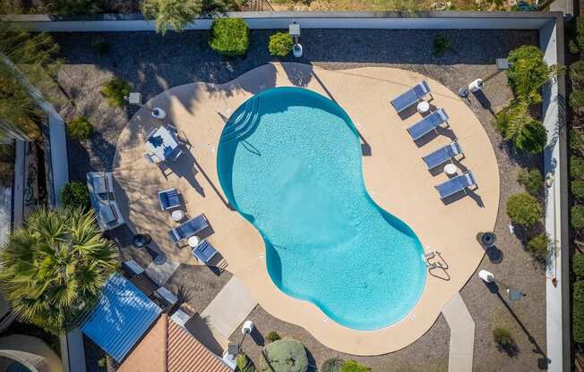 Renovated Pool Area at 60 at Melrose, Phoenix, AZ