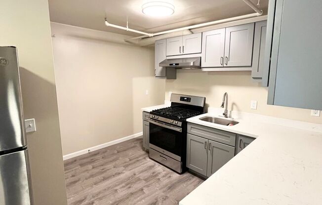 Newly Renovated Ground Floor 1x1 in Hayes Valley SF!