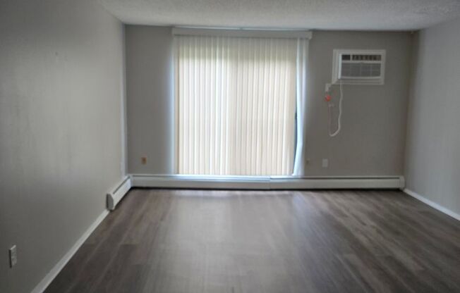 1 bed, 1 bath, $1,250, Unit 320