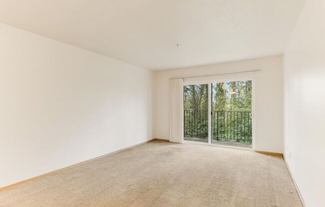 1 bed, 1 bath, 547 sqft, $1,200, Unit 41