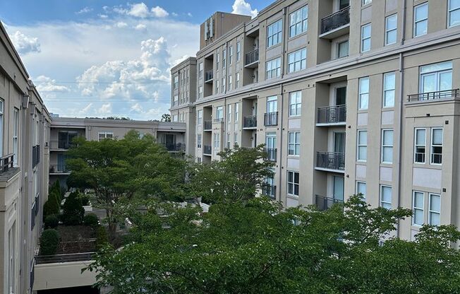 Two Bedroom Condo located in Dilworth