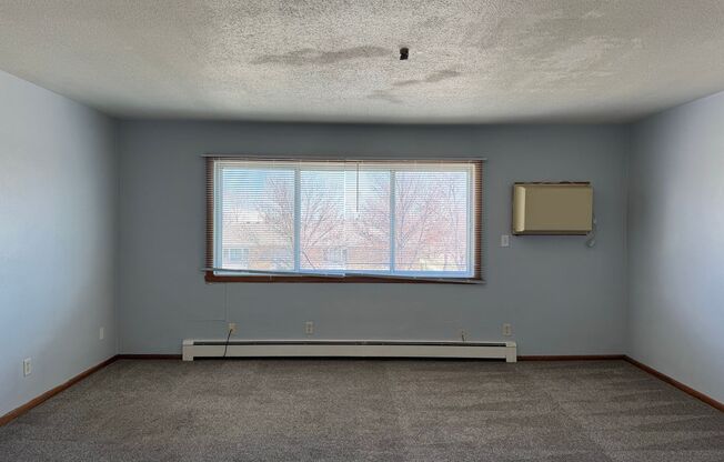 1 bed, 1 bath, 465 sqft, $625, Unit 1119-312