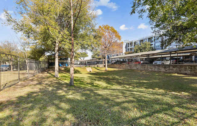 Encore at Buckingham apartment in Richardson, TX dog park