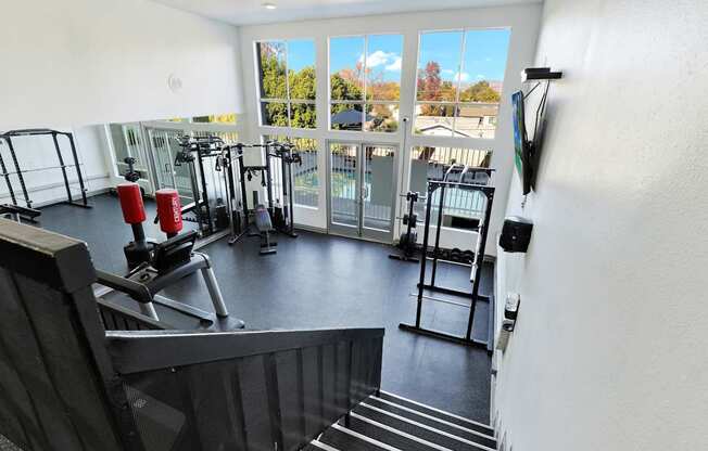 A gym with a view of the outside.