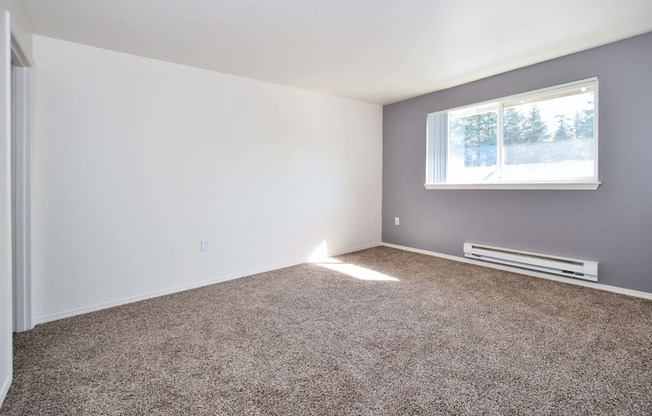 a bedroom with a carpeted floor and a window