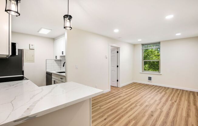 1 bed, 1 bath, 540 sqft, $1,415, Unit 1