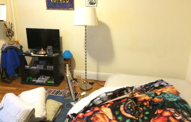 Studio, 1 bath, 297 sqft, $2,100, Unit 01-042