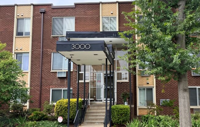 Light-Filled 1BR, 1BA in the Heart of Brookland
