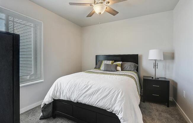 Bedroom with Natural Light
