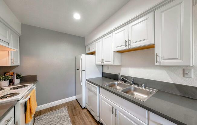 Model Kitchen Sink.jpg