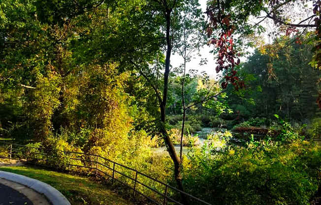 A pathway is seen through a green leafy area.