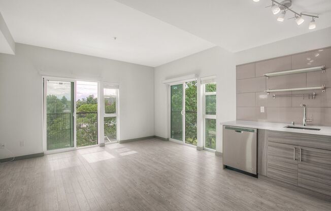 Studio, 1 bath, 365 sqft, $1,554, Unit 202
