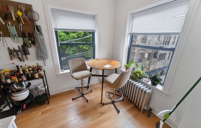 Studio, 1 bath, 450 sqft, $1,495, Unit 207