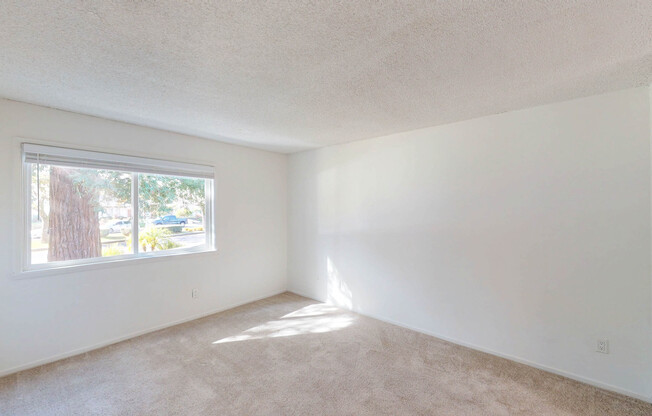 410 ALAMEDA DE PRADO