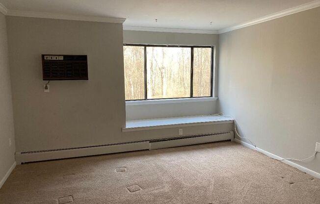 1 bed, 1 bath, $1,600, Unit 54