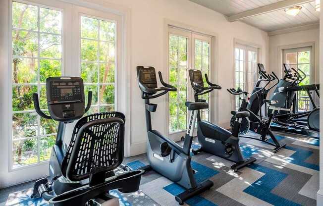 Cardio room with bikes and ellipticals surrounded by large windows and leafy views.