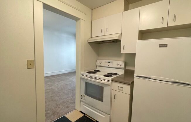 1 bed, 1 bath, 504 sqft, $1,395, Unit 117
