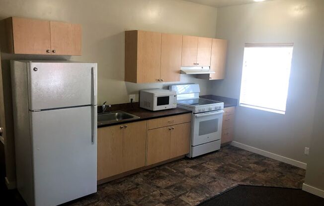 1 bed, 1 bath, 450 sqft, $965, Unit 4252-105