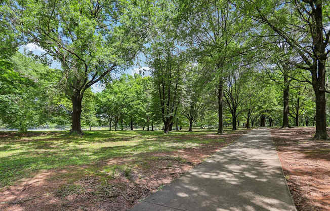 A tree-lined walkway in a park.