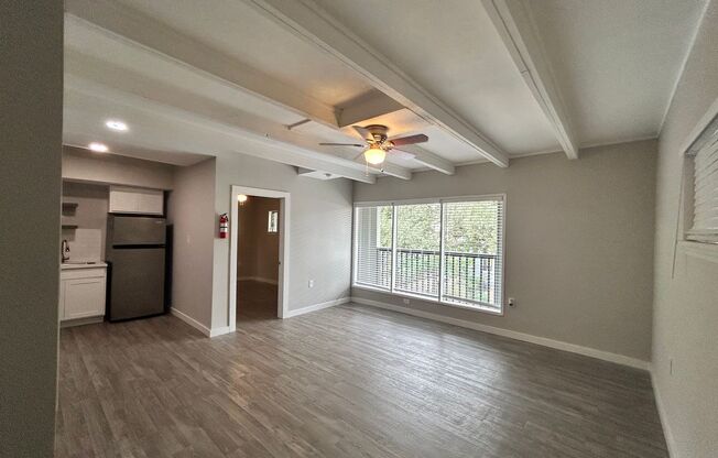 1 bed, 1 bath, 550 sqft, $1,245, Unit 202
