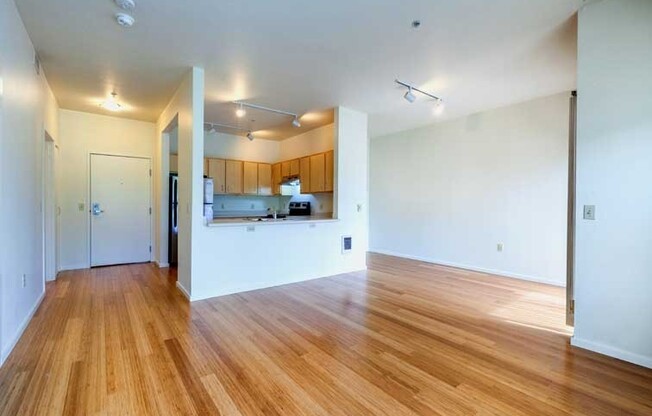 1 bed, 1 bath, 678 sqft, $1,825, Unit 203