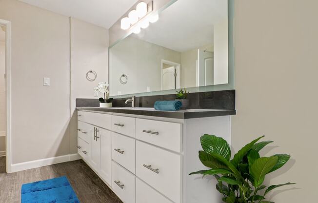 Single long gray countertops vanity  with mirror track lighting