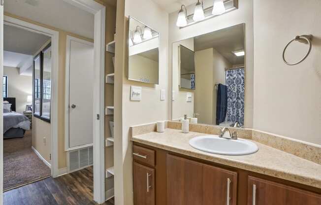 a bathroom with a sink and a mirror