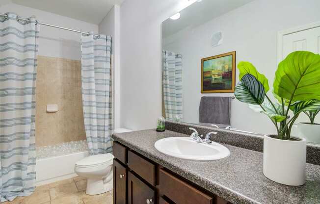 A bathroom with a toilet, sink, and a potted plant.