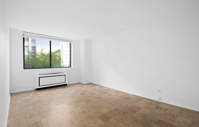 3 beds, 2 baths, $10,900, Unit 6P