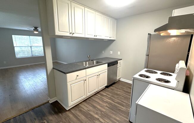 RENOVATED 3/3 w/ Washer/Dryer, Fenced Yard, & More! Available NOW for $1400/month!