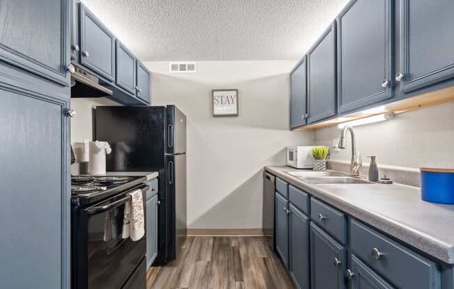 a kitchen with blue cabinets and a black stove and refrigerator