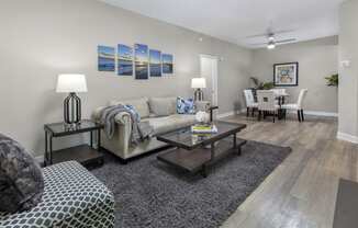 Living and dining area