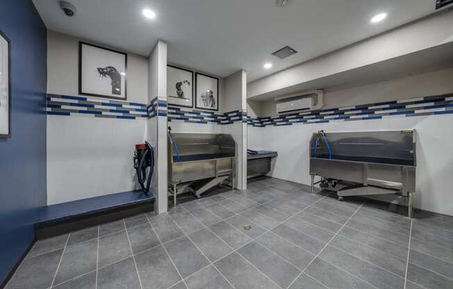 pet wash station at Ladera