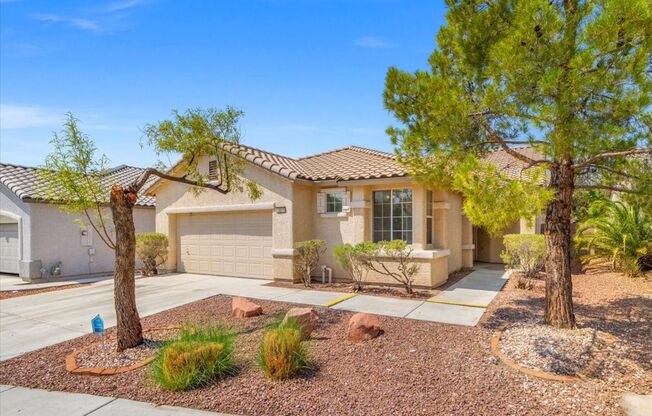 Fabulous Summerlin Single Story Home!