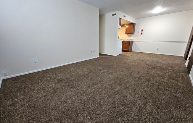 Remodeled 1 bedroom in Washington Local