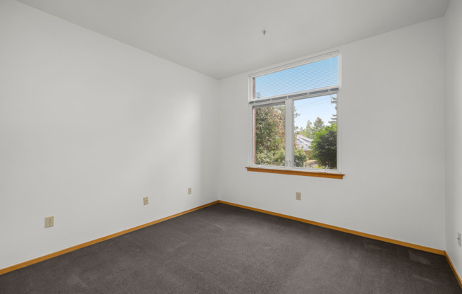 1 bed, 1 bath, 637 sqft, $1,495