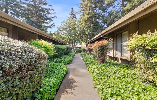 2489 / 2491 American River Dr