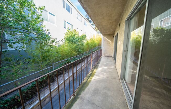 1 bed, 1 bath, $1,695, Unit 3