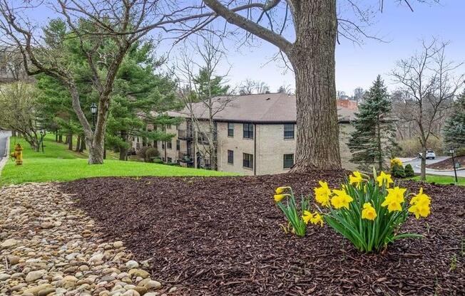 Tree Plantation at Williamsburg South, Pittsburgh, PA, 15228