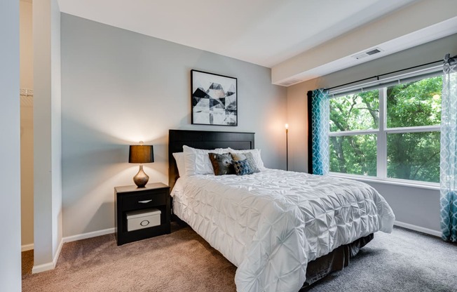 Carpeted Bedroom With Large Windows